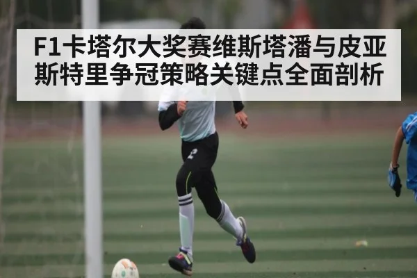 F1卡塔尔大奖赛维斯塔潘与皮亚斯特里争冠策略关键点全面剖析